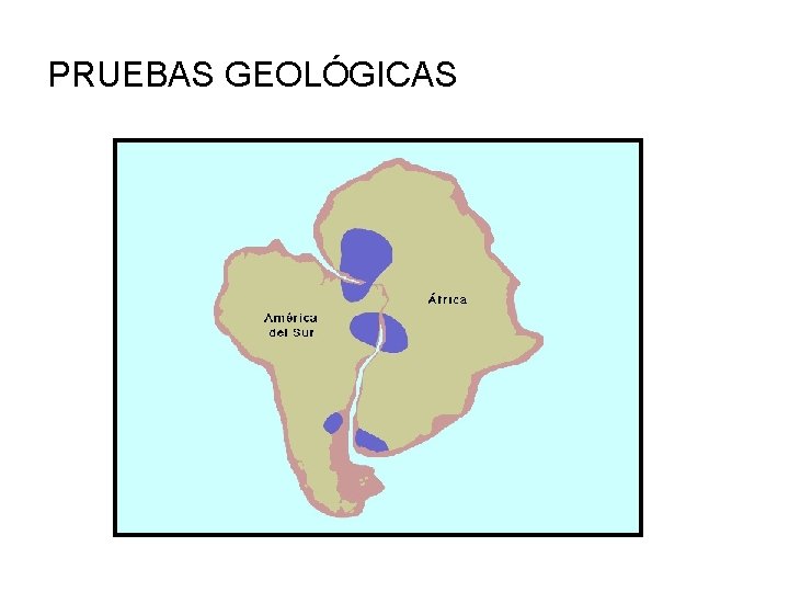 PRUEBAS GEOLÓGICAS 