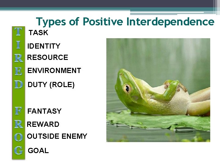 Types of Positive Interdependence TASK IDENTITY RESOURCE ENVIRONMENT DUTY (ROLE) FANTASY REWARD OUTSIDE ENEMY