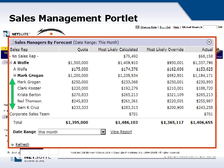 Sales Management Portlet © Copyright Net. Suite Inc. , All Rights Reserved. 