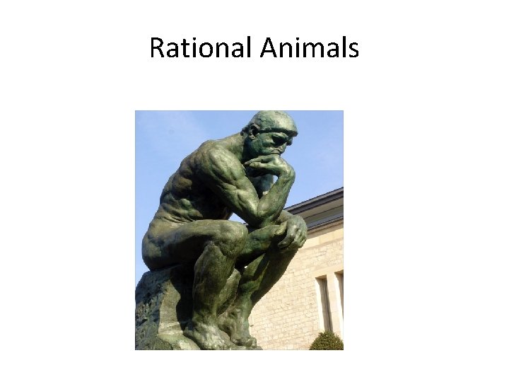 Rational Animals 