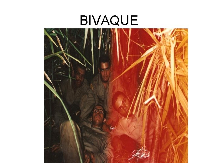 BIVAQUE 