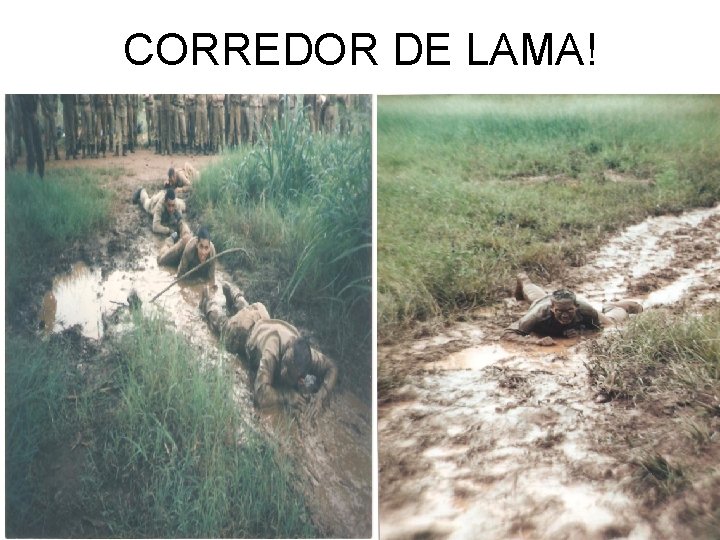 CORREDOR DE LAMA! 