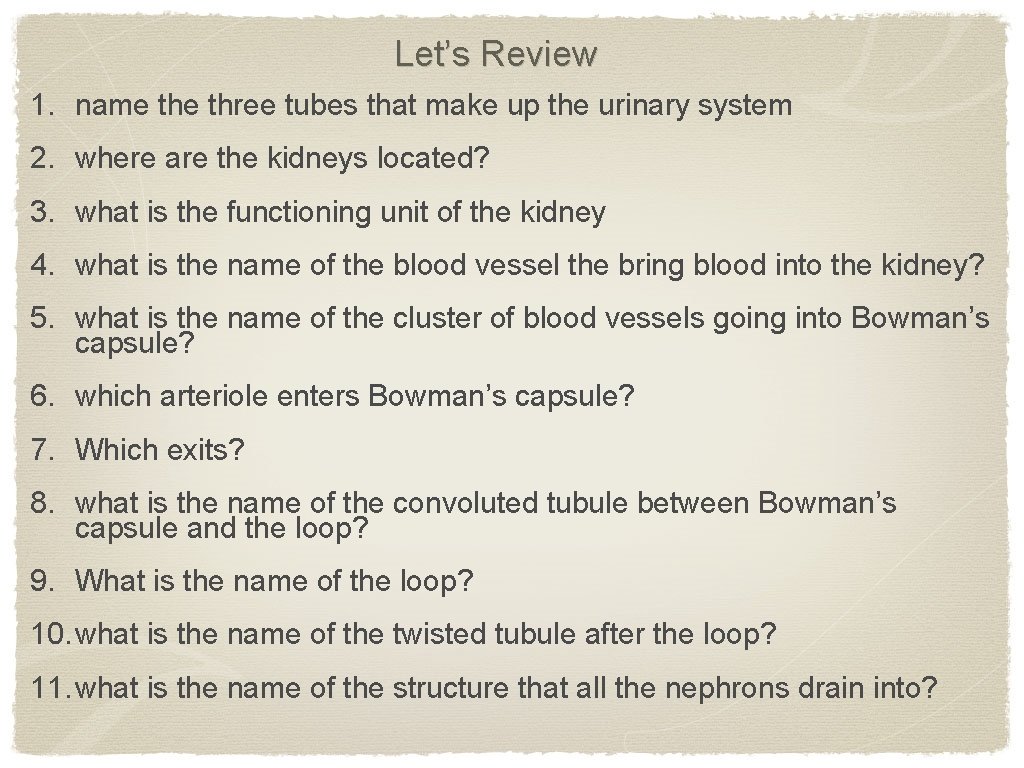 Let’s Review 1. name three tubes that make up the urinary system 2. where