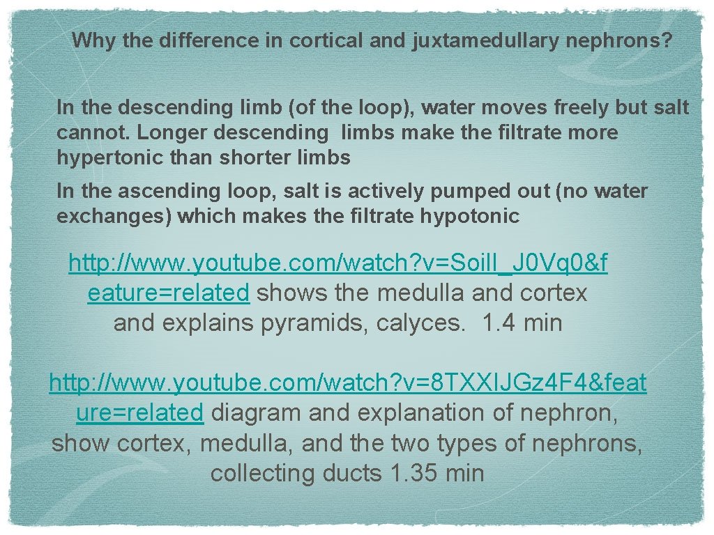 Why the difference in cortical and juxtamedullary nephrons? In the descending limb (of the