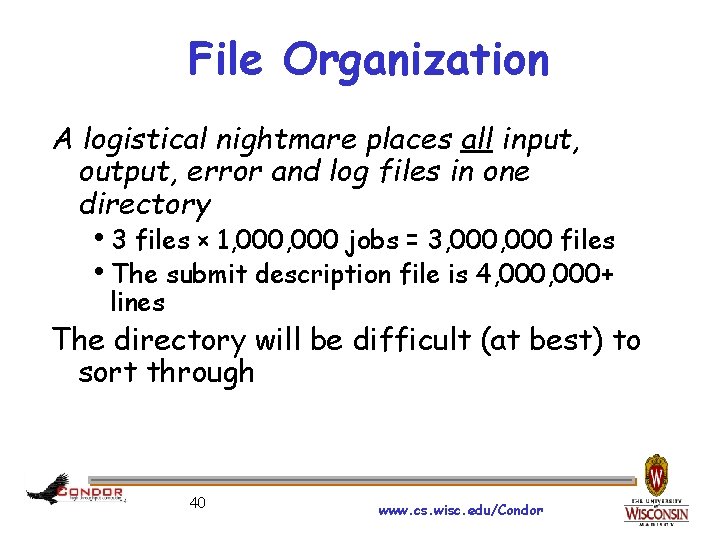 File Organization A logistical nightmare places all input, output, error and log files in