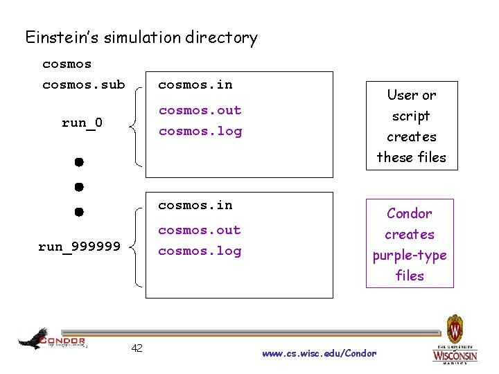 Einstein’s simulation directory cosmos. sub cosmos. in User or script creates these files cosmos.