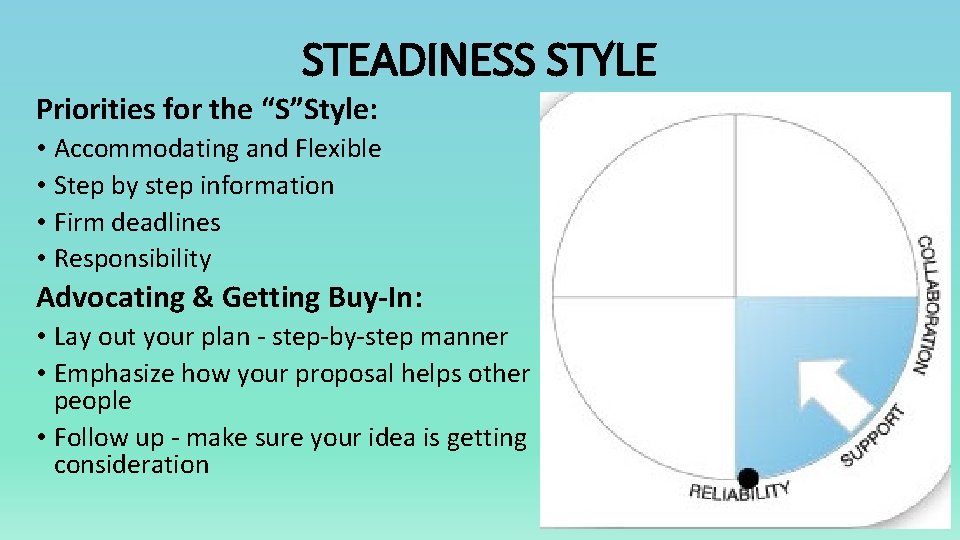 STEADINESS STYLE Priorities for the “S”Style: • Accommodating and Flexible • Step by step