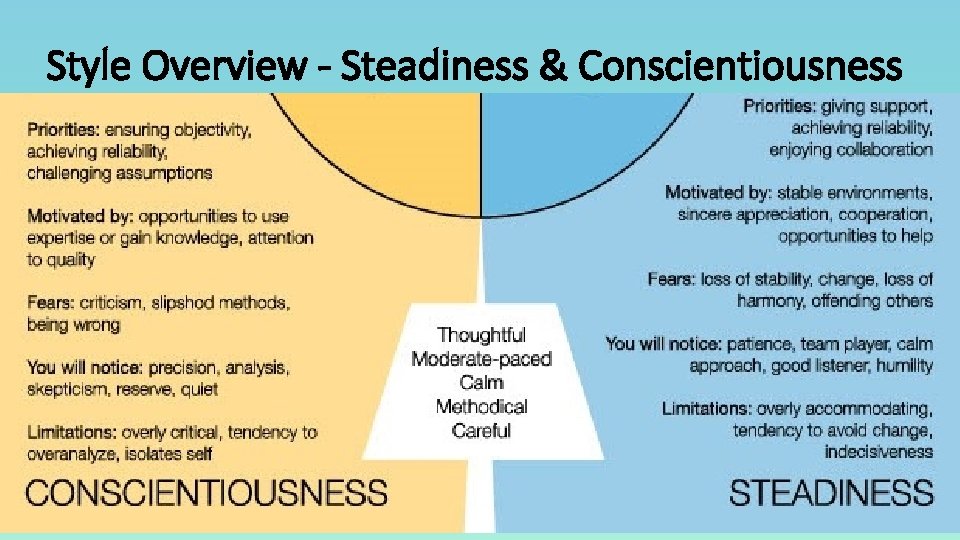 Style Overview - Steadiness & Conscientiousness 