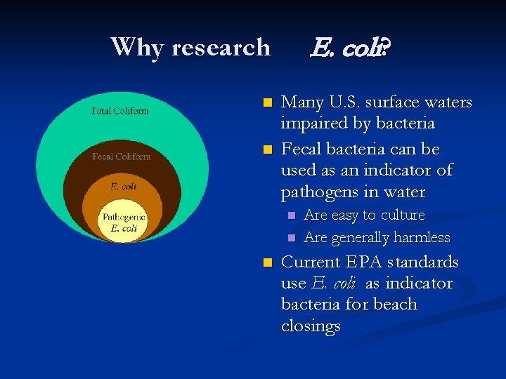 E. coli? Why research n n Many U. S. surface waters impaired by bacteria