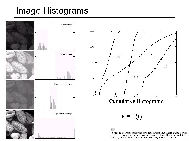 Image Histograms Cumulative Histograms s = T(r) 