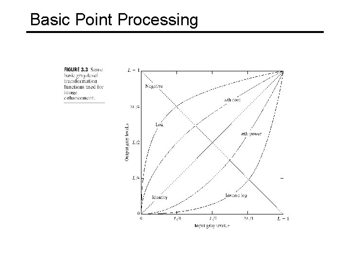 Basic Point Processing 