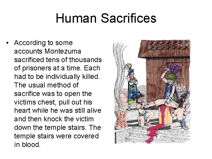 Human Sacrifices • According to some accounts Montezuma sacrificed tens of thousands of prisoners Human Sacrifices • According to some accounts Montezuma sacrificed tens of thousands of prisoners