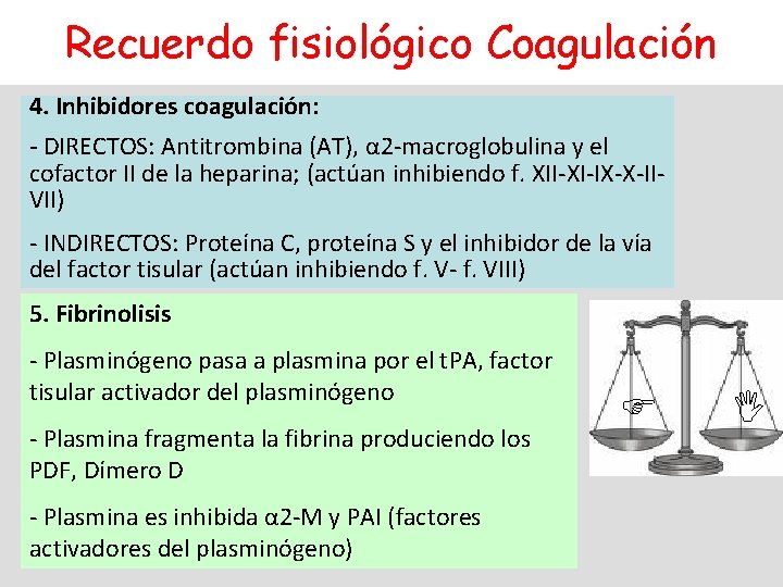 Recuerdo fisiológico Coagulación 4. Inhibidores coagulación: - DIRECTOS: Antitrombina (AT), α 2 -macroglobulina y
