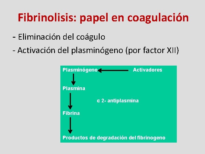 Fibrinolisis: papel en coagulación - Eliminación del coágulo - Activación del plasminógeno (por factor