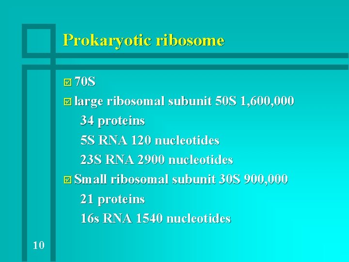 Prokaryotic ribosome þ 70 S þ large ribosomal subunit 50 S 1, 600, 000 Prokaryotic ribosome þ 70 S þ large ribosomal subunit 50 S 1, 600, 000