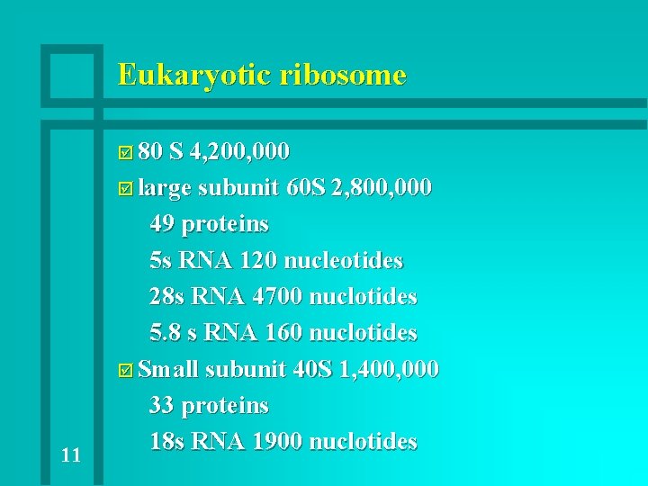 Eukaryotic ribosome þ 80 S 4, 200, 000 þ large subunit 60 S 2, Eukaryotic ribosome þ 80 S 4, 200, 000 þ large subunit 60 S 2,
