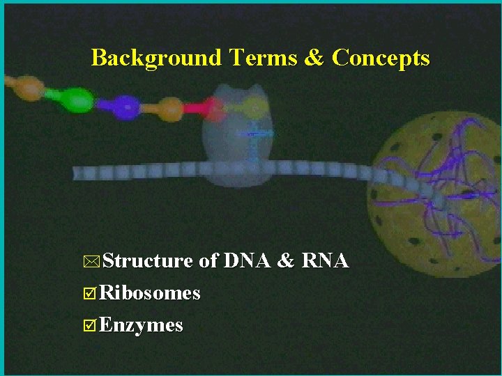 Background Terms & Concepts *Structure of DNA & RNA þRibosomes þEnzymes 5 Background Terms & Concepts *Structure of DNA & RNA þRibosomes þEnzymes 5