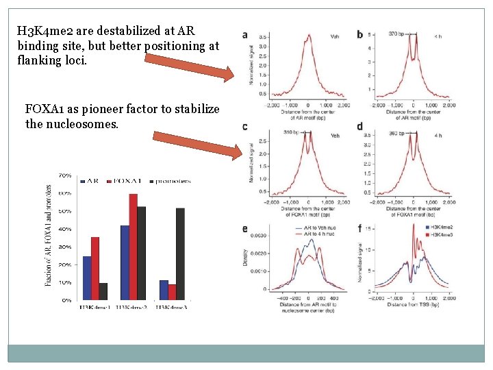 H 3 K 4 me 2 are destabilized at AR binding site, but better