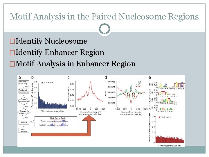 Motif Analysis in the Paired Nucleosome Regions �Identify Nucleosome �Identify Enhancer Region �Motif Analysis