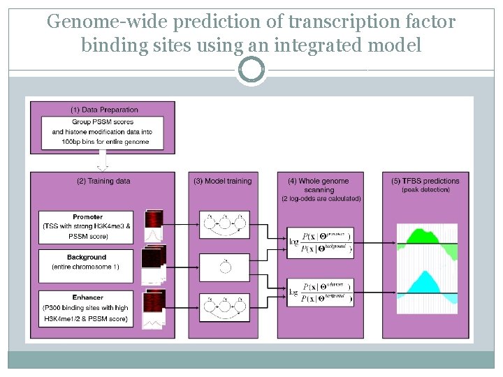Genome-wide prediction of transcription factor binding sites using an integrated model 