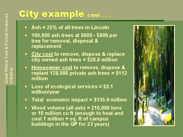 Great Plains Tree & Forest Invasives Initiative City example cont. . . § Ash