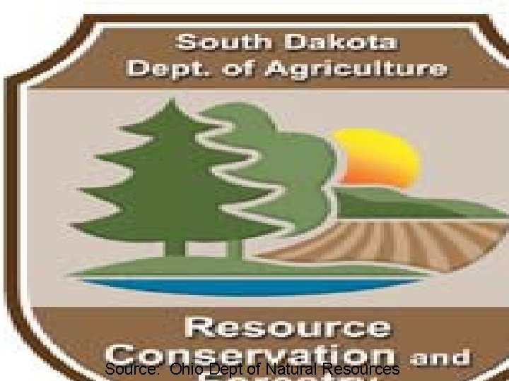 Source: Ohio Dept of Natural Resources Great Plains Tree & Forest Invasives Initiative 