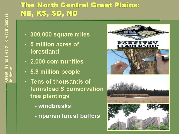 Great Plains Tree & Forest Invasives Initiative The North Central Great Plains: NE, KS,