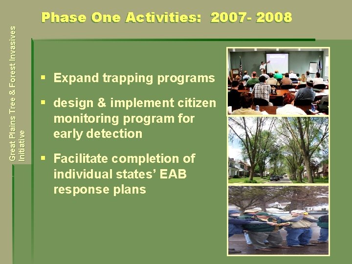 Great Plains Tree & Forest Invasives Initiative Phase One Activities: 2007 - 2008 §