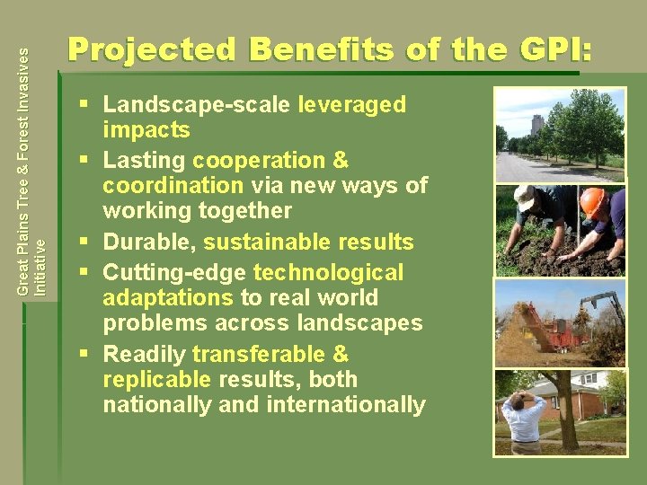 Great Plains Tree & Forest Invasives Initiative Projected Benefits of the GPI: § Landscape-scale