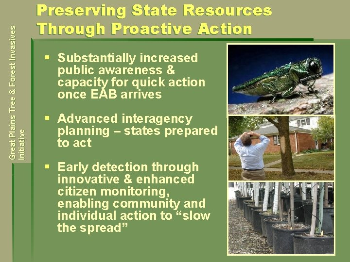 Great Plains Tree & Forest Invasives Initiative Preserving State Resources Through Proactive Action §