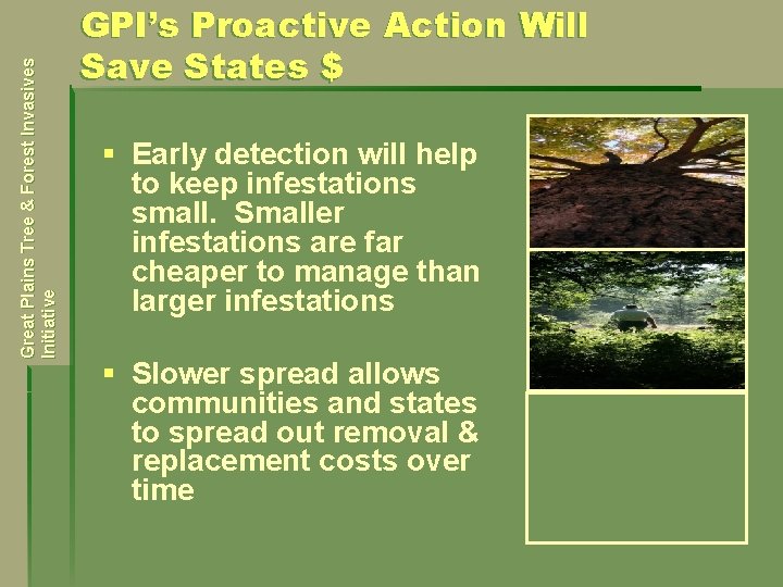 Great Plains Tree & Forest Invasives Initiative GPI’s Proactive Action Will Save States $