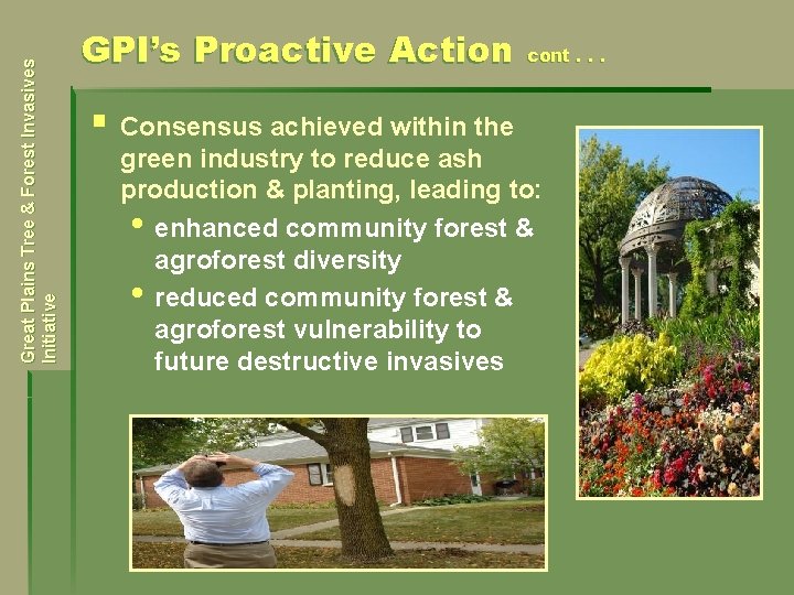 Great Plains Tree & Forest Invasives Initiative GPI’s Proactive Action § Consensus achieved within