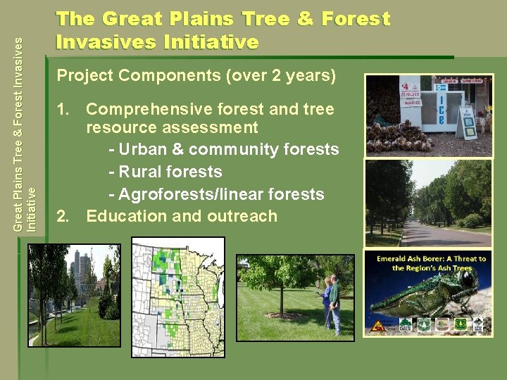 Great Plains Tree & Forest Invasives Initiative The Great Plains Tree & Forest Invasives
