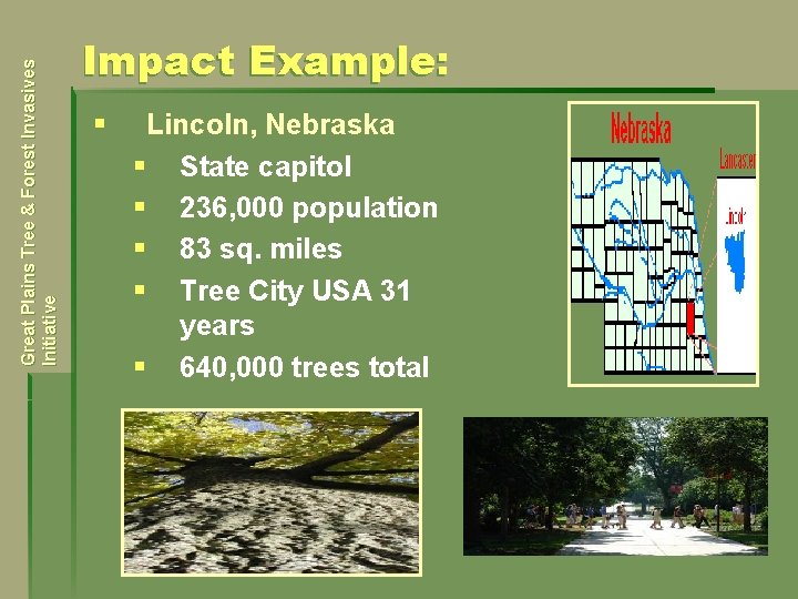 Great Plains Tree & Forest Invasives Initiative Impact Example: § Lincoln, Nebraska § State
