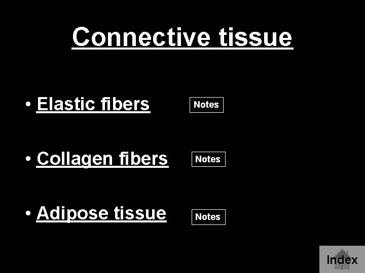Connective tissue • Elastic fibers Notes • Collagen fibers Notes • Adipose tissue Notes