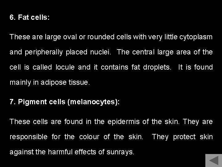 6. Fat cells: These are large oval or rounded cells with very little cytoplasm