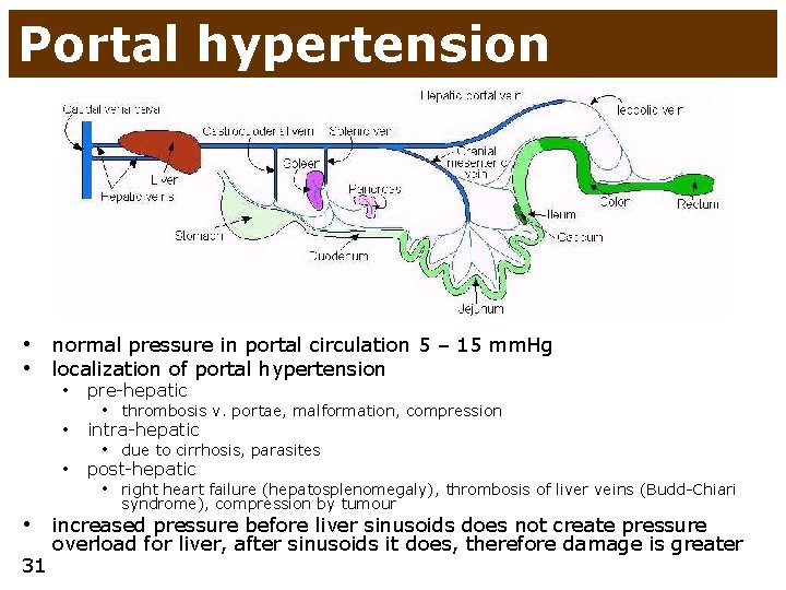 Portal hypertension • normal pressure in portal circulation 5 – 15 mm. Hg •