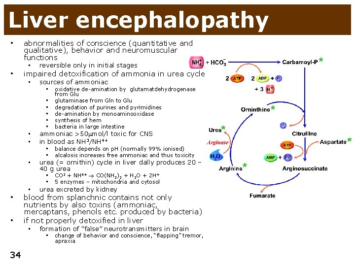 Liver encephalopathy • • abnormalities of conscience (quantitative and qualitative), behavior and neuromuscular functions