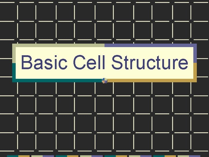 Basic Cell Structure 