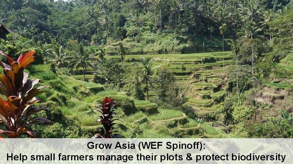 Grow Asia (WEF Spinoff): Help small farmers manage their plots & protect biodiversity 