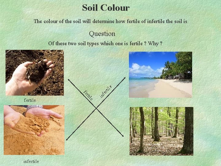 Soil Colour The colour of the soil will determine how fertile of infertile the