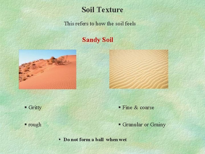 Soil Texture This refers to how the soil feels Sandy Soil § Gritty §