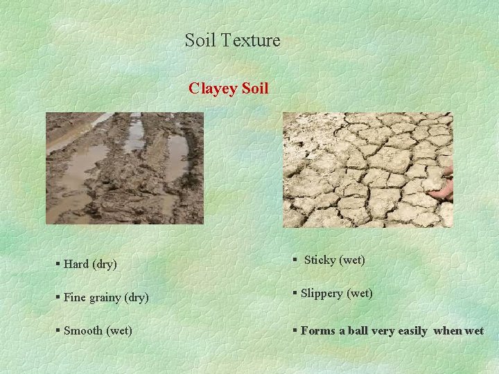 Soil Texture Clayey Soil § Hard (dry) § Sticky (wet) § Fine grainy (dry)