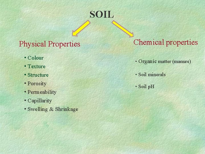 SOIL Physical Properties • Colour • Texture • Structure • Porosity • Permeability •