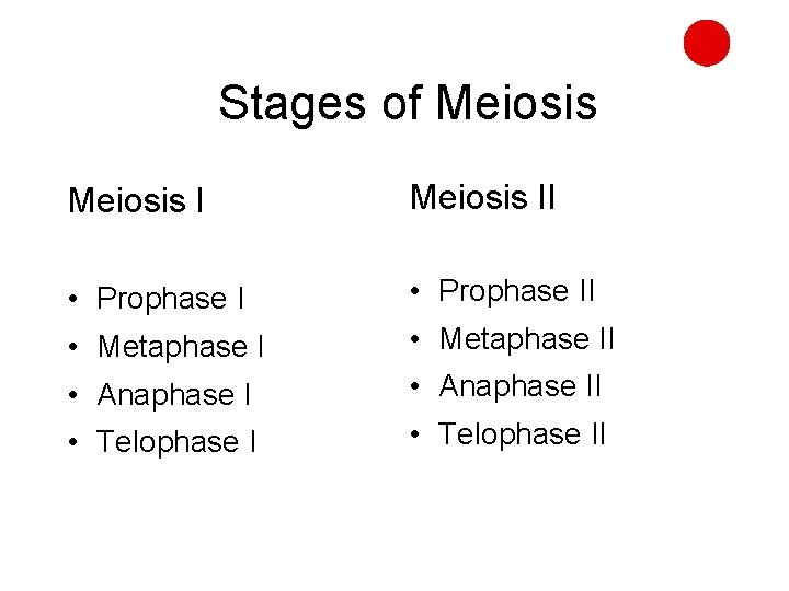 Stages of Meiosis II • Prophase II • Metaphase II • Anaphase II •