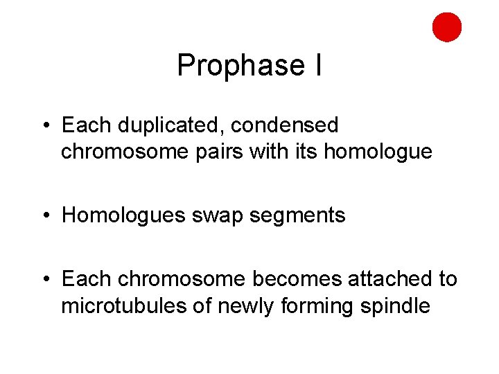 Prophase I • Each duplicated, condensed chromosome pairs with its homologue • Homologues swap