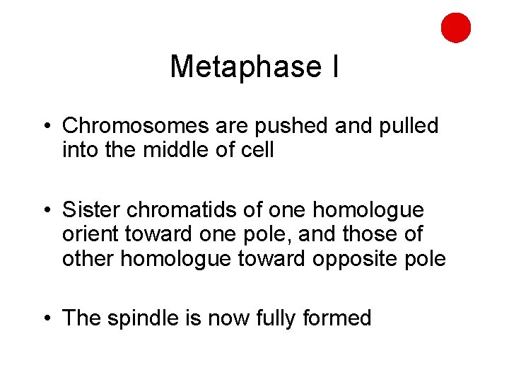 Metaphase I • Chromosomes are pushed and pulled into the middle of cell •