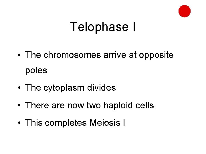 Telophase I • The chromosomes arrive at opposite poles • The cytoplasm divides •