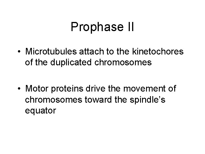 Prophase II • Microtubules attach to the kinetochores of the duplicated chromosomes • Motor