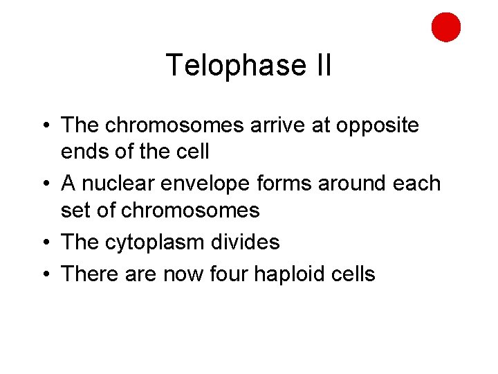 Telophase II • The chromosomes arrive at opposite ends of the cell • A